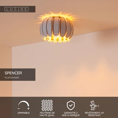 Lucide SPENCER - Plafonnier - Ø 30 cm - 1xE27 - Gris - USP